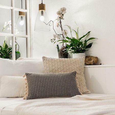 Trastevere Gem Cozy Light-Filled Retreat โรม ภายนอก รูปภาพ